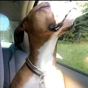 Meet your Posher, Michele